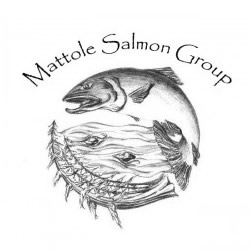 Mattole-Salmon-Group-Logo-250px-square